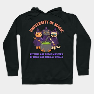 University of Magic / Kittens are great masters of magic / Halloween Hoodie